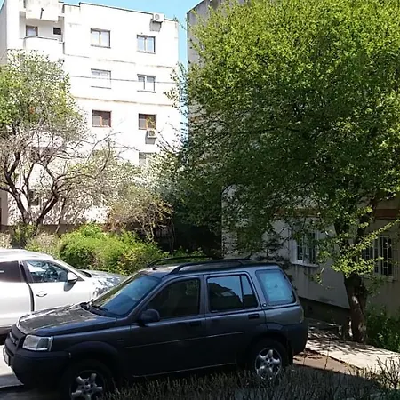 Margo * Κονστάντζα